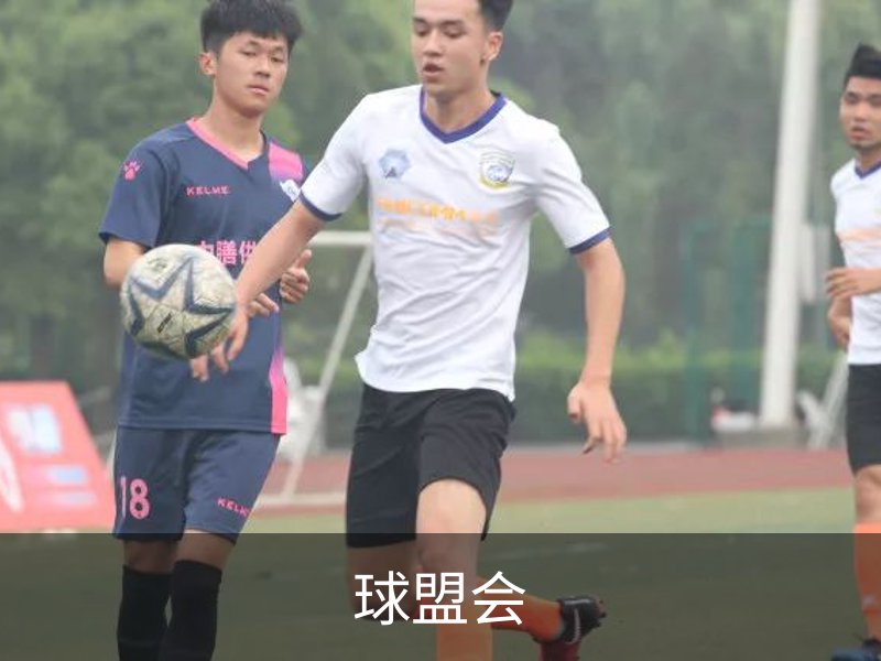 球盟会概况
